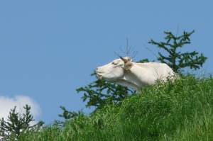 Xtrallusion photo library of independent, self-guided walking and sightseeing holidays in Italy. Pictures, images, photos and photographs taken along the way of this 1-day walking itinerary, to give you a visual impression of the day's walk.